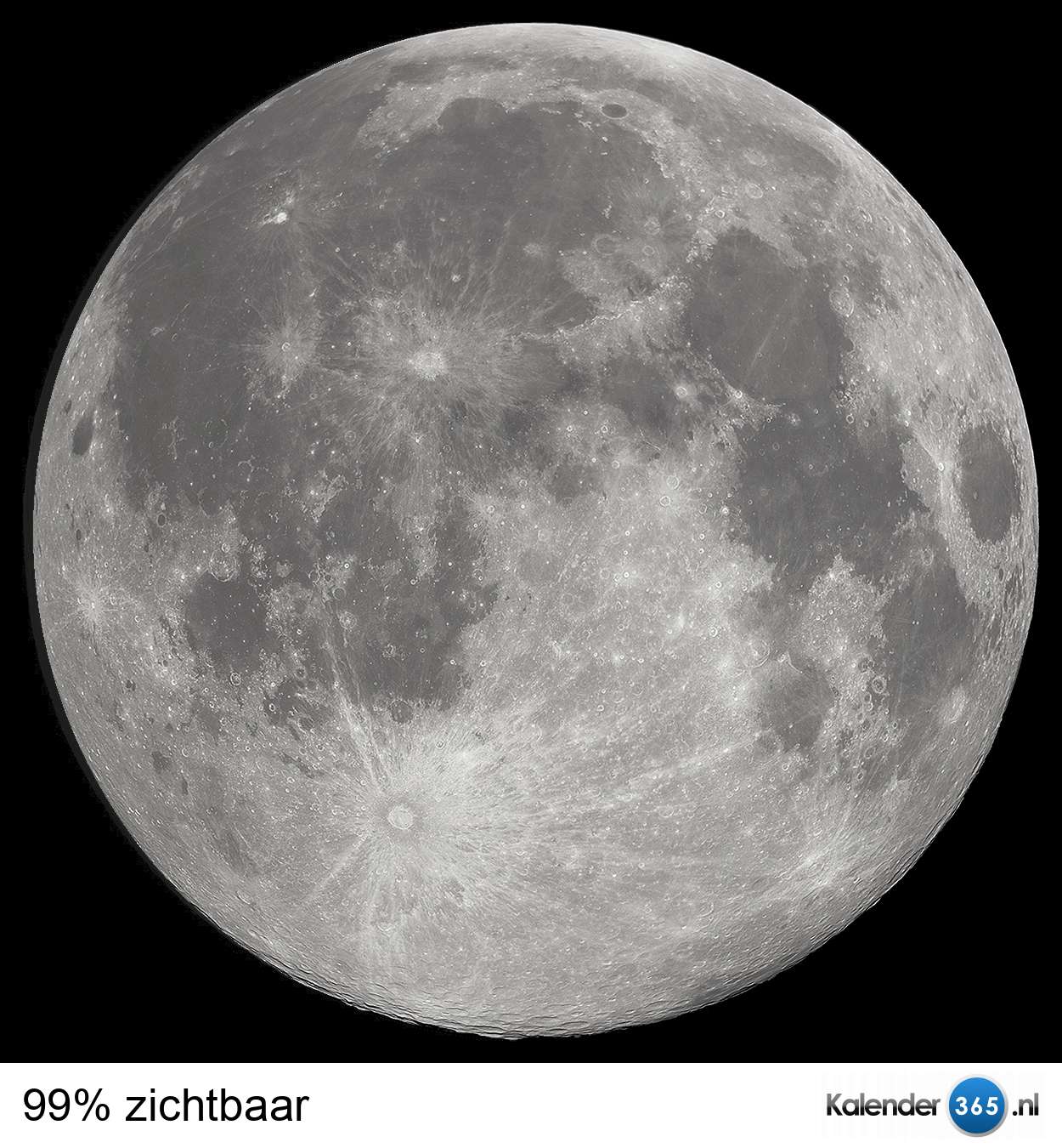 maan_-0_99.jpg