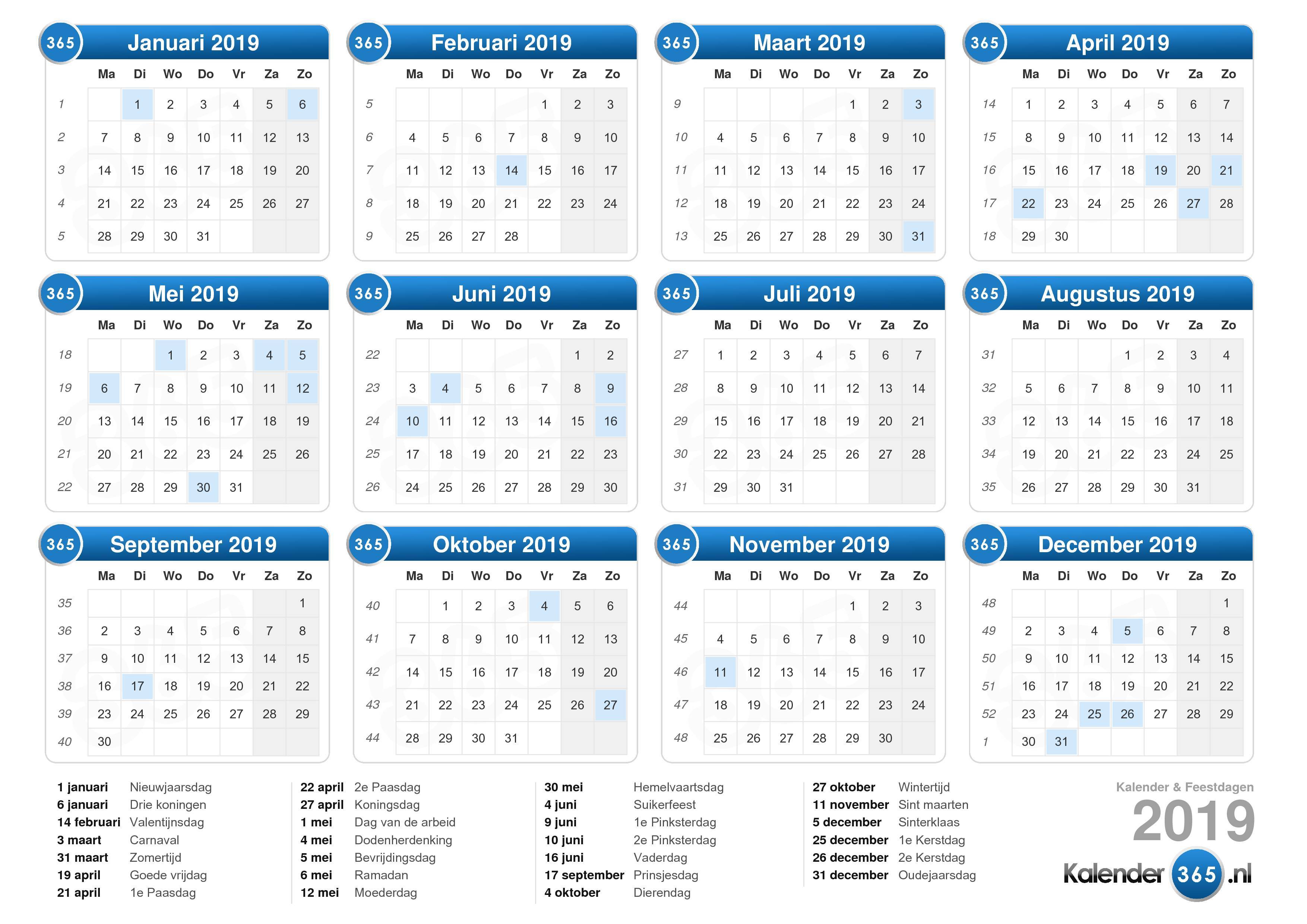 scheerapparaat Voorzitter Bekritiseren Kalender 2019